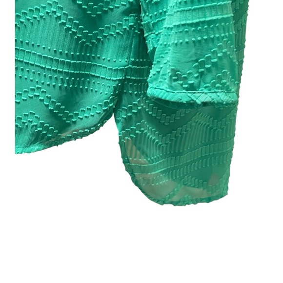 TALBOTS MINT GREEN CHIFFON TEXTURED BLOUSE SZ LP - Picture 5 of 10